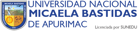 Universidad Nacional Micaela Bastidas de Apurímac