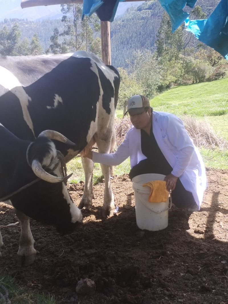 Docentes y estudiantes de Medicina Veterinaria y Zootecnia participaron en fortalecimiento de capacidades en producción de vacuno de leche