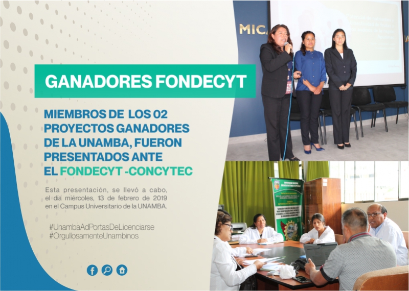 Miembros de los 02 Proyectos Ganadores de la UNAMBA, fueron presentados ante el FONDECYT y CONCYTEC