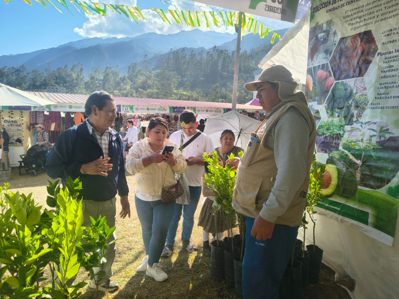 Vivero Frutícola y Floricultura de la UNAMBA ocupa primer puesto en Feria San Antonio 2025
