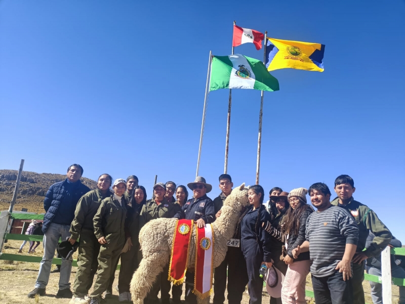 Docentes y estudiantes de Medicina Veterinaria y Zootecnia presentes en la XV Feria Nacional de Camélidos Sudamericanos de Alta Montaña en Iscahuaca 2023