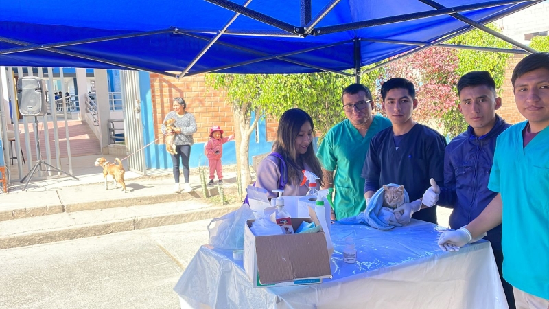 Campaña gratuita de desparasitación de canes y felinos en la Facultad de Medicina Veterinaria y Zootecnia