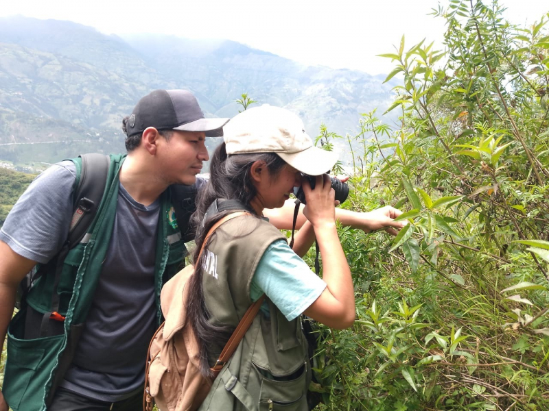Estudiantes de la UNAMBA premiados por lograr la identificación de la mayor cantidad de especies de flora y fauna silvestre en el Santuario Nacional de Ampay