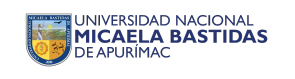 Universidad Micaela Bastidas